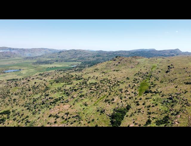 256HA FARM FOR SALE IN ROOSSENEKAL AH